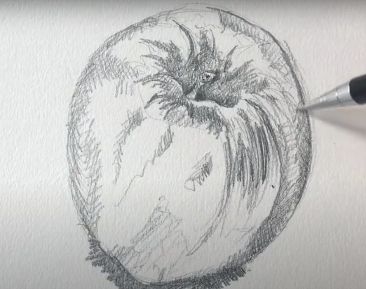 Apple Drawing