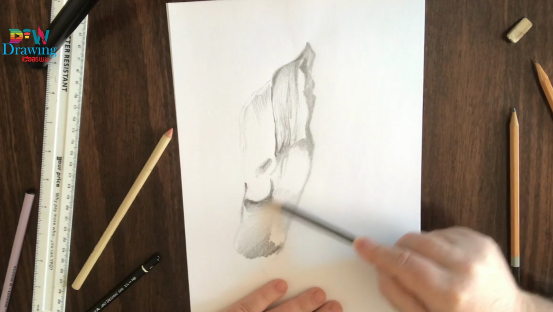 Draw the Surface and Texture