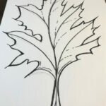 How to Draw a Leaf Easily